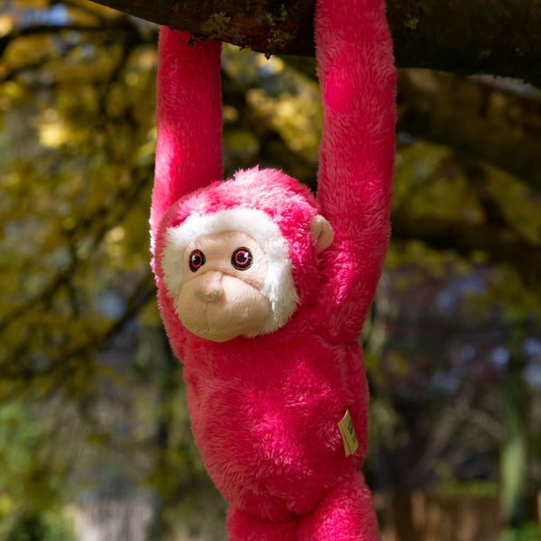A pink swinging monkey soft toy hanging from a tree at Bristol Zoo