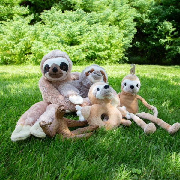 A selection of sloth gifts