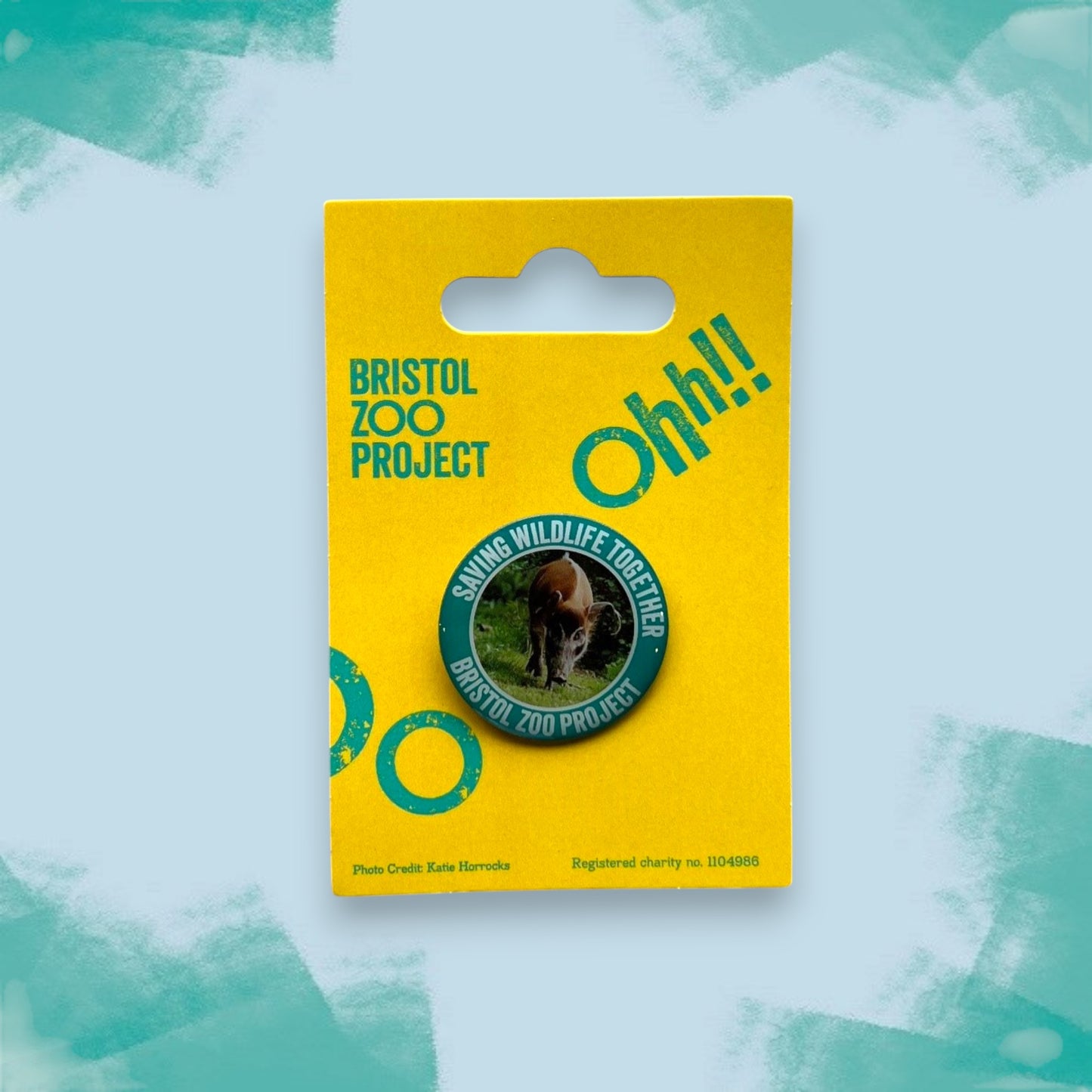 Bristol Zoo Project Pin Badge - Red River Hog