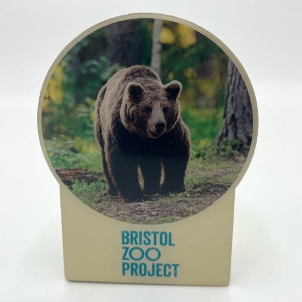Bristol Zoo Project  Steel Bear Magnet