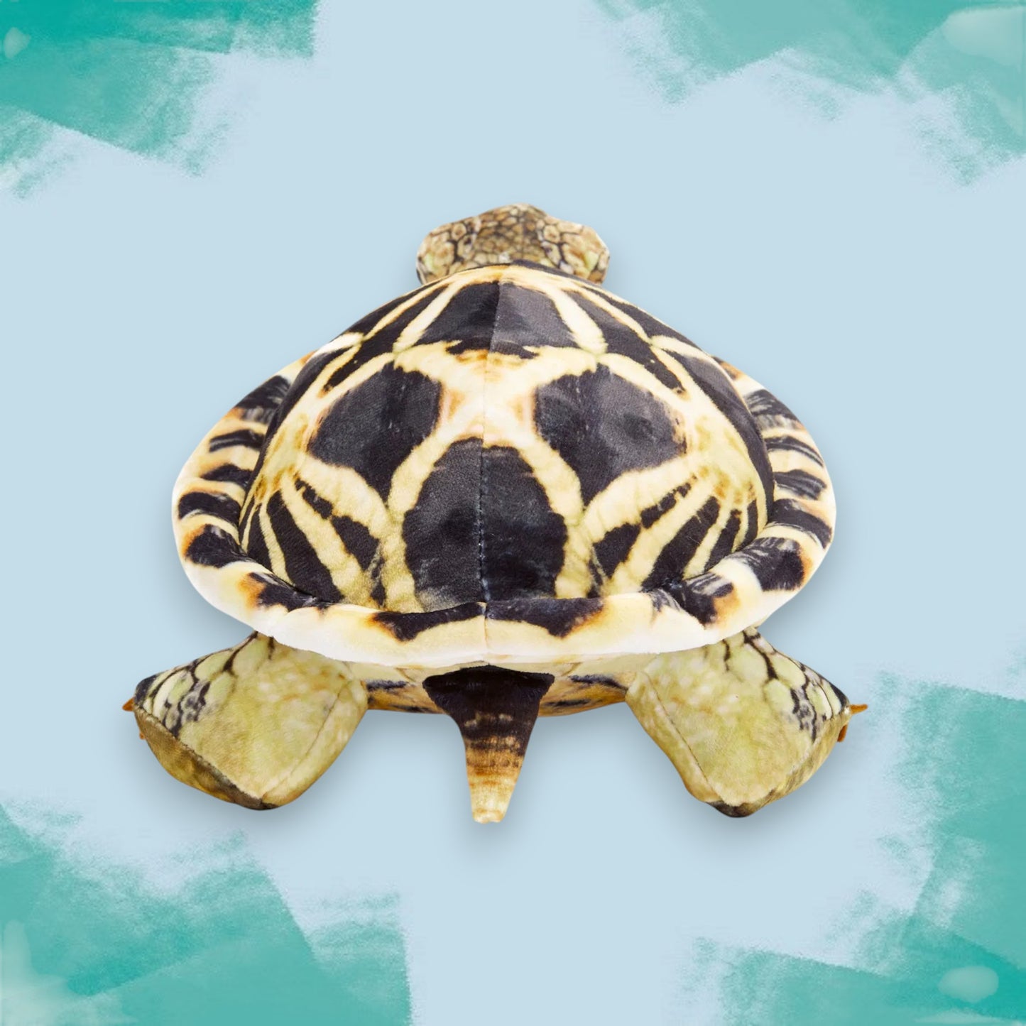 Star Tortoise Soft Toy