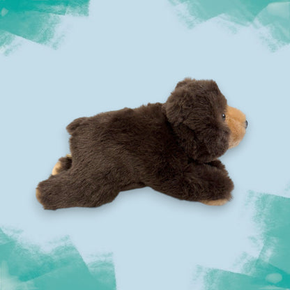 Nature Friends Bear Soft Toy