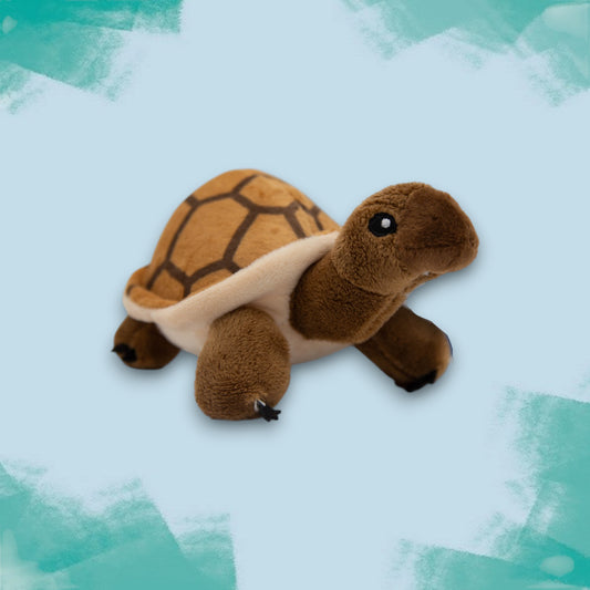 Mini Tortoise Eco Soft Toy