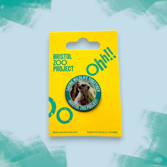 Bristol Zoo Project Pin Badge - Meerkat