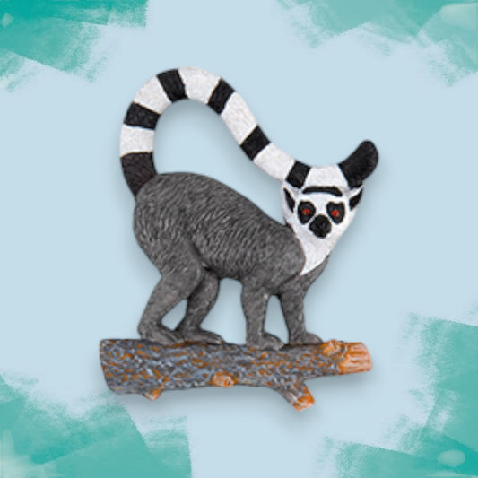 Ring-Tailed Lemur Fridge Magnet