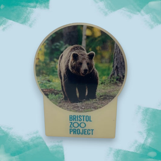 Bristol Zoo Project Bear Magnet