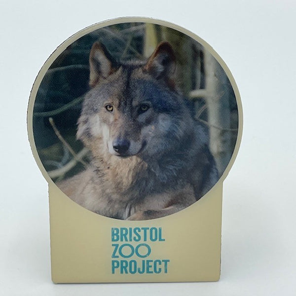 Steel Magnet featuring one of Bristol Zoo Project's wolves.