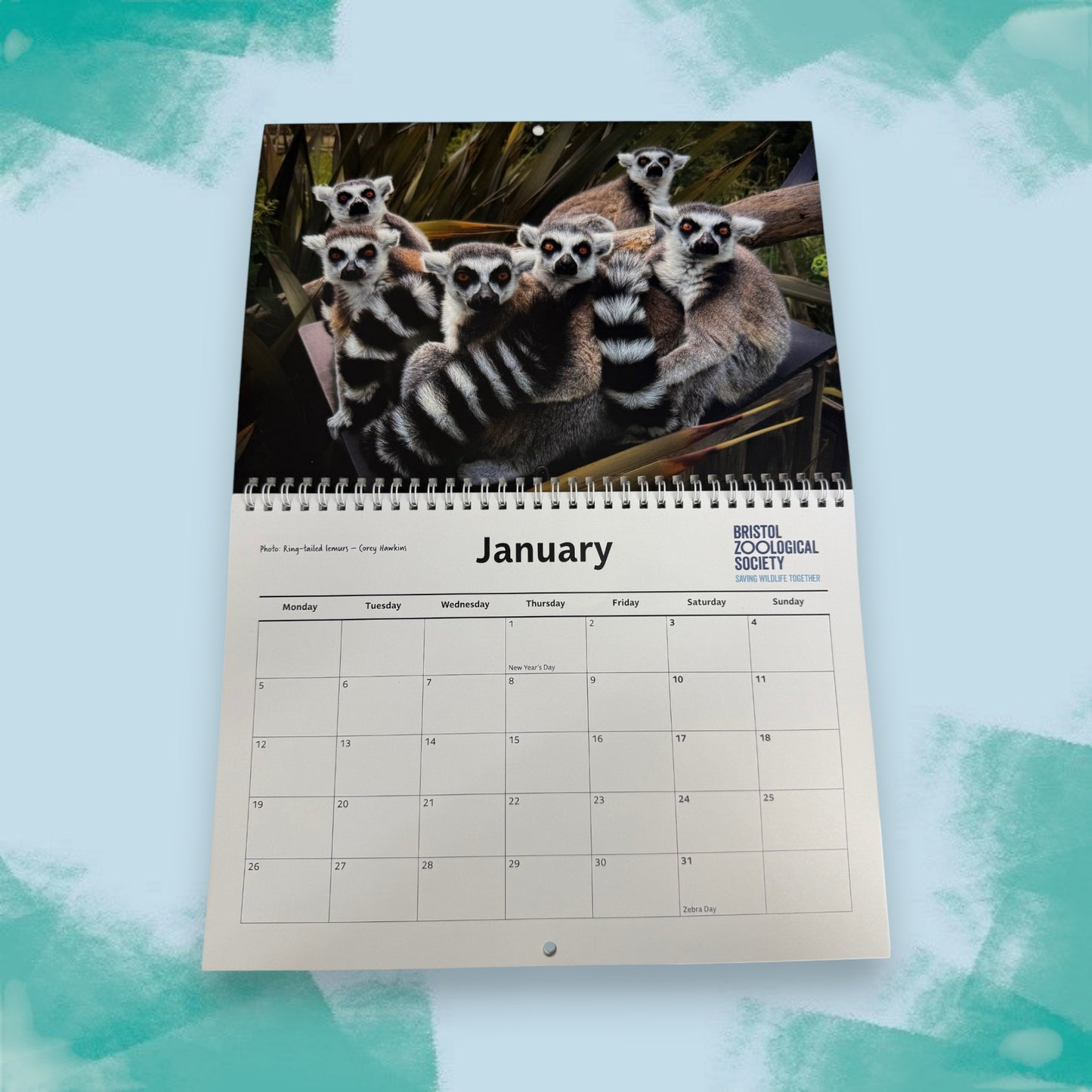 Bristol Zoo Project 2026 Calendar