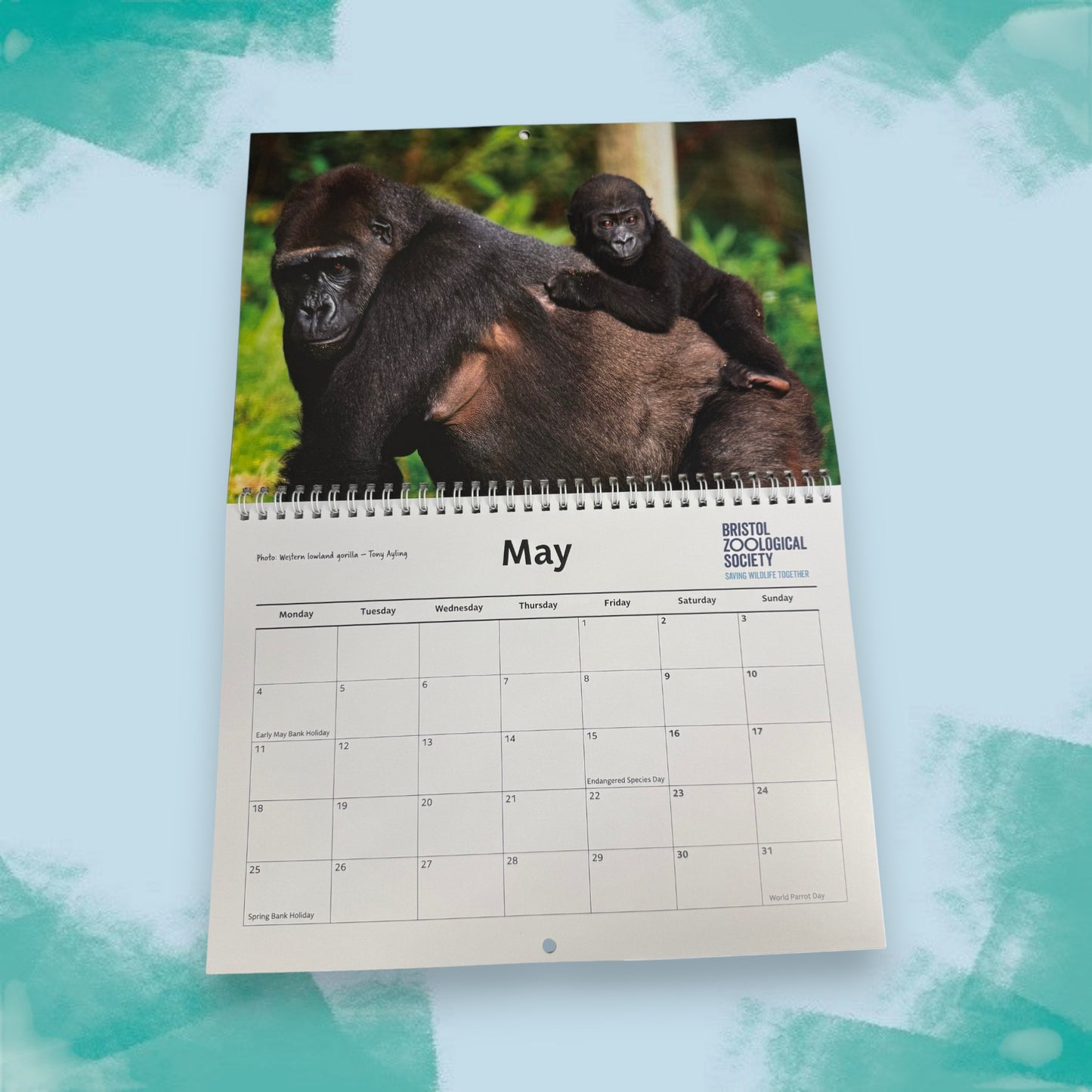 Bristol Zoo Project 2026 Calendar