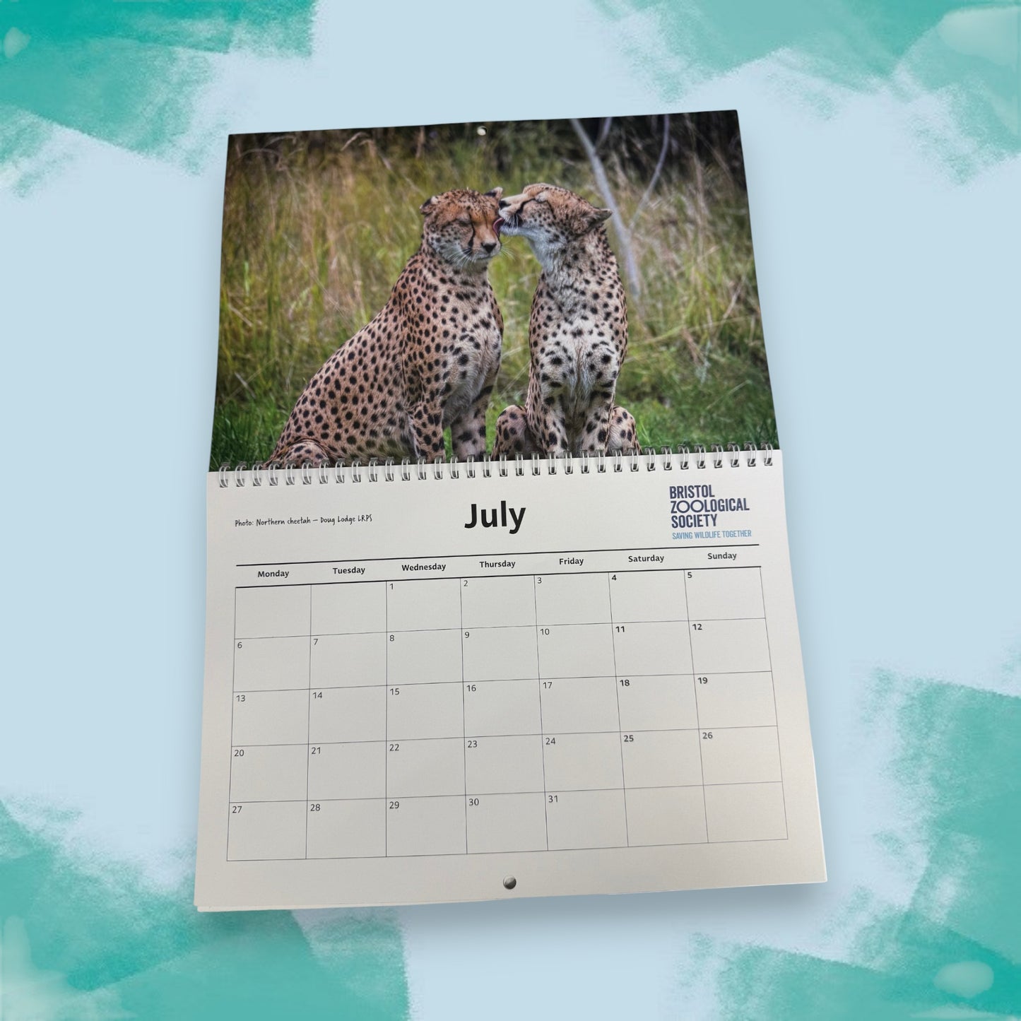 Bristol Zoo Project 2026 Calendar