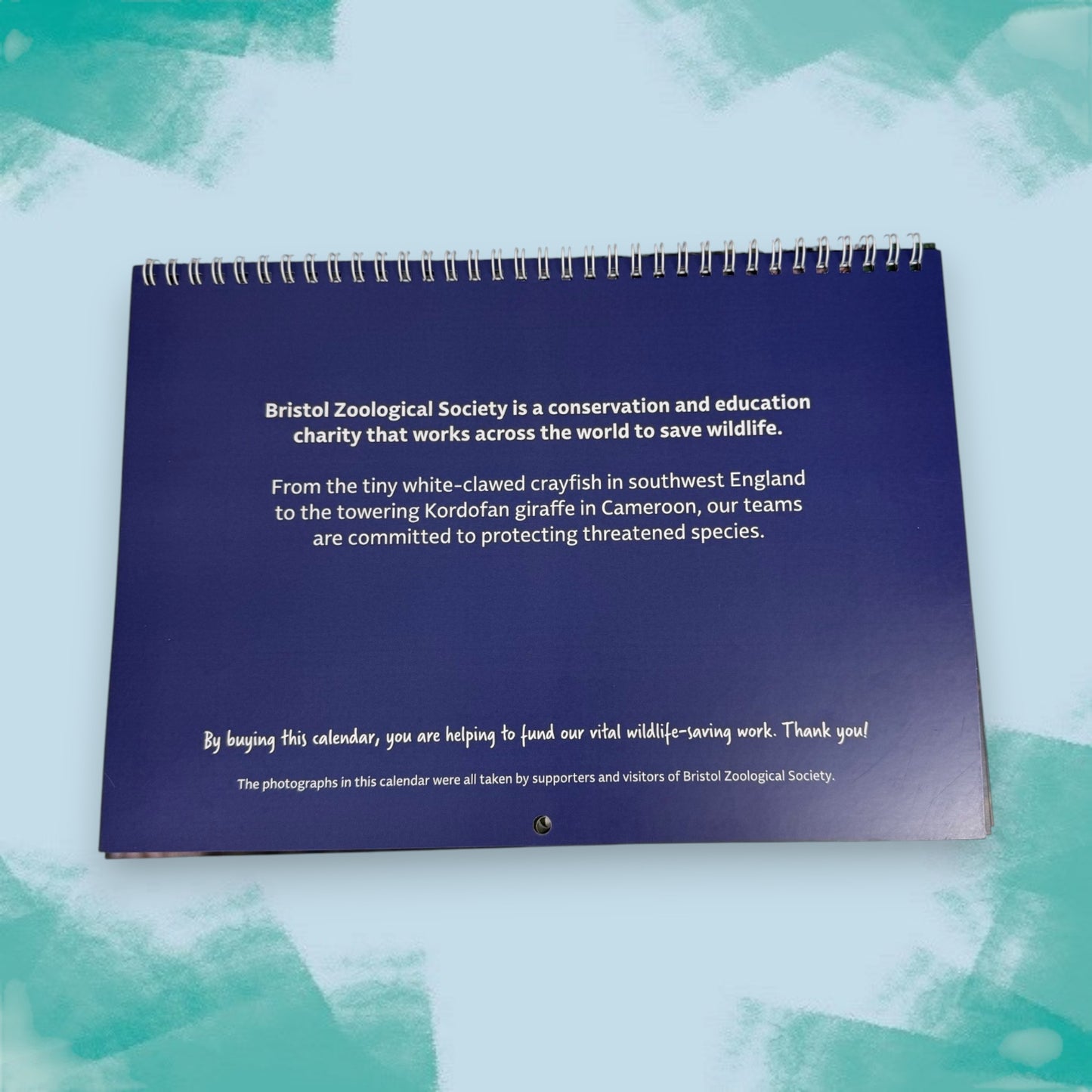 Bristol Zoo Project 2026 Calendar