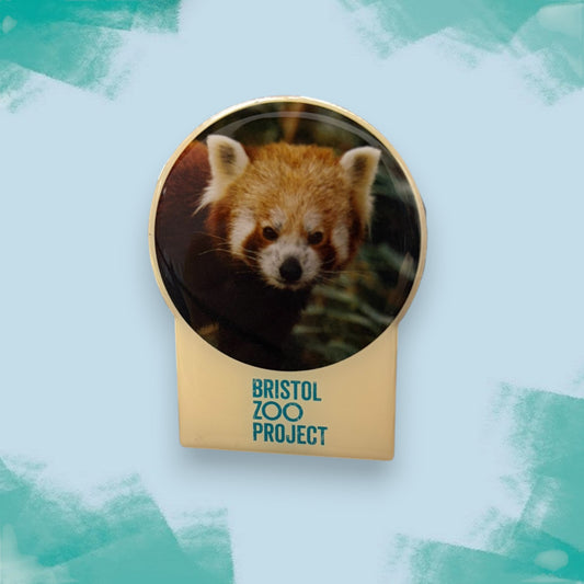 Bristol Zoo Project Red Panda Magnet