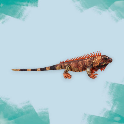 Red Iguana Soft Toy