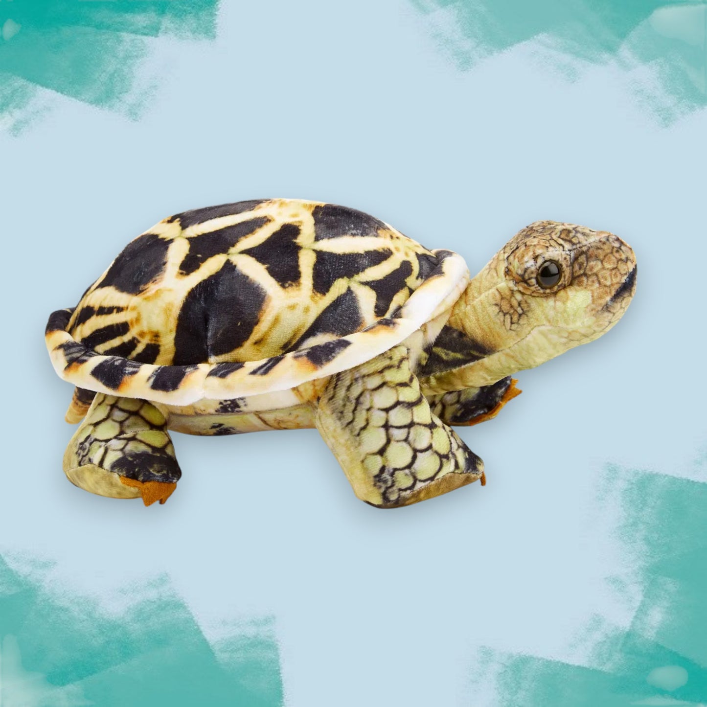 Star Tortoise Soft Toy