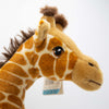 a close up of the large giraffe eco toy's face, with sewn eyes, and furry ossicones