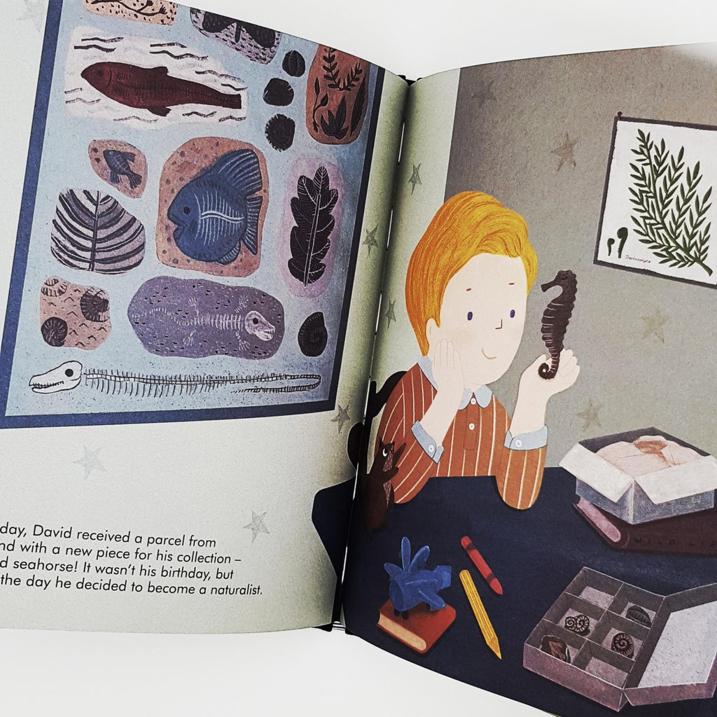 A picture of the inside page of the book "David Attenborough. Little people, Big Dreams", showing a young David Attenborough at a desk holding a seahorse.